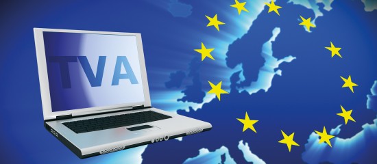 TVA intracommunautaire : taux de change mensuels