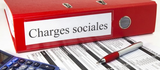 Réduction générale dégressive unique des cotisations patronales
